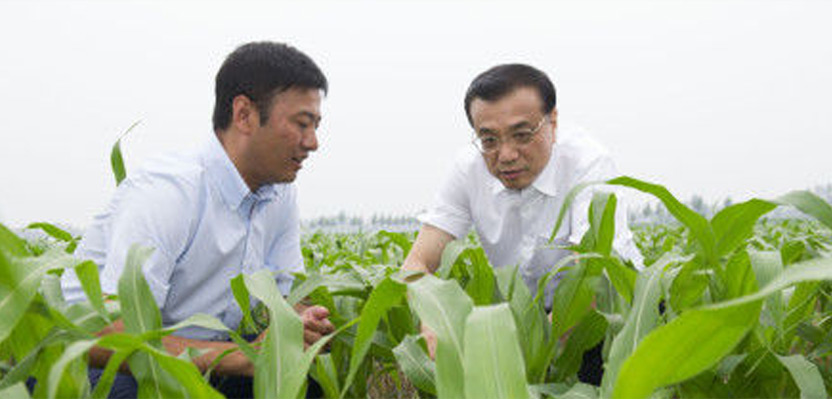 一號文件解讀：中國要強(qiáng) 農(nóng)業(yè)必須強(qiáng)